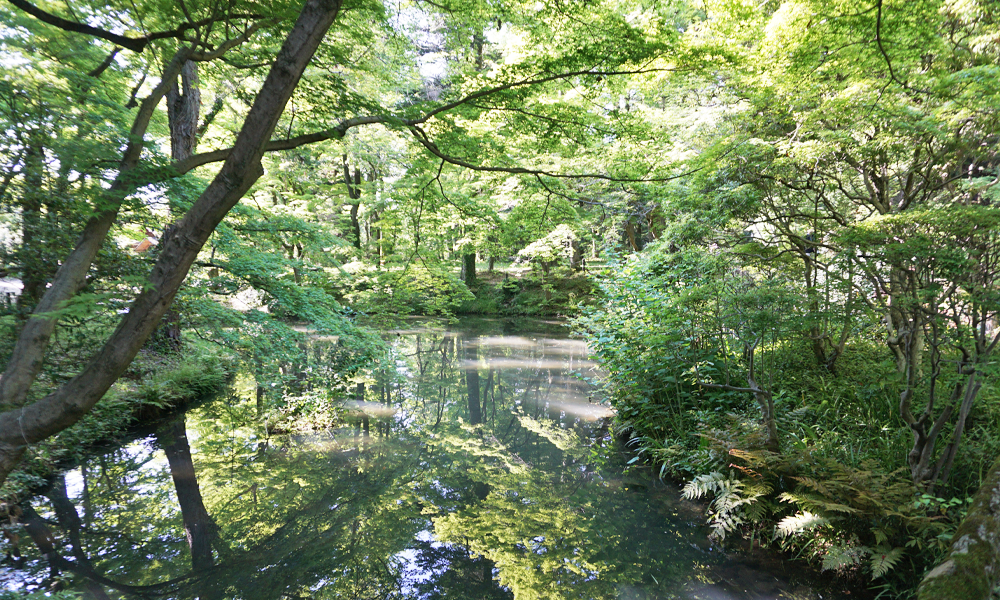 京都府立植物園