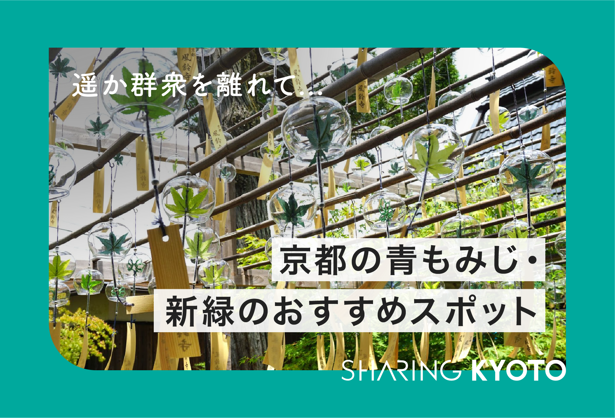 遥か群衆を離れて：京都の青もみじ・新緑のおすすめスポット